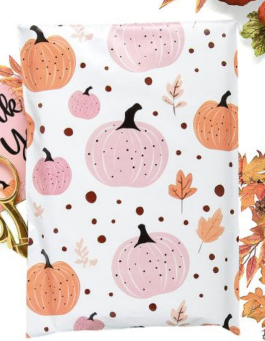 14.5x19 Pastel Pumpkin