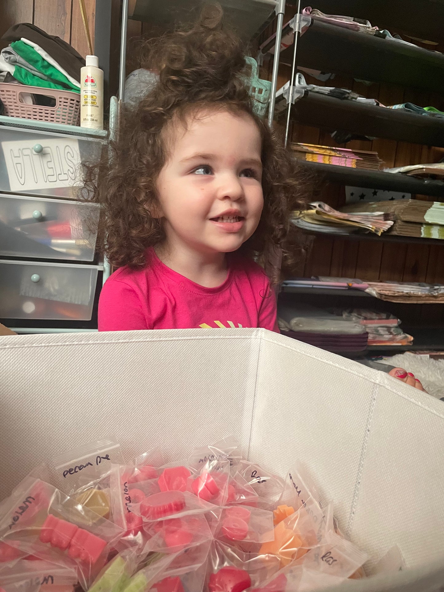 Assorted Wax Melts
