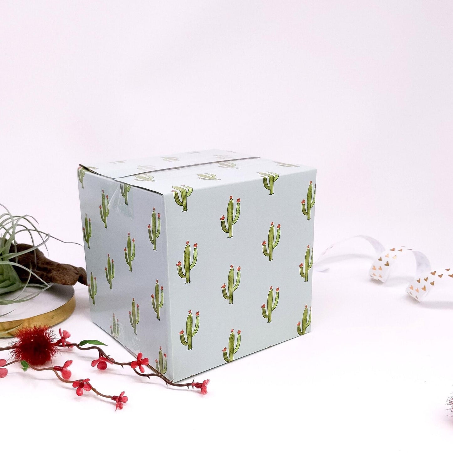 5x5x5 Cactus Box