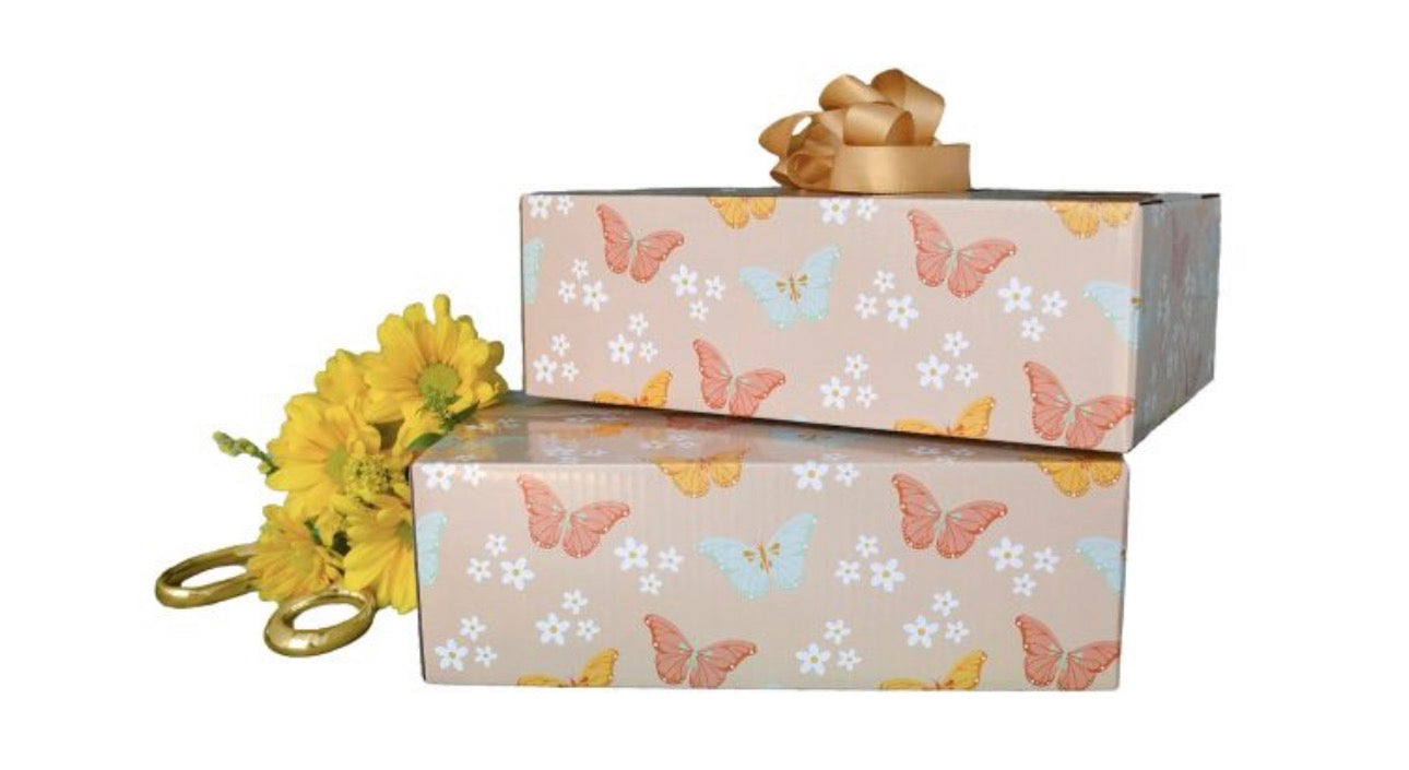 9x6x3 Butterfly Box