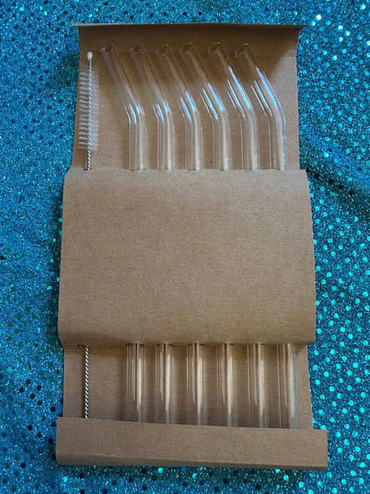 Glass Straw Set
