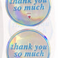 Silver Holographic TY Stickers