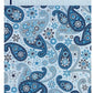 6x9 Paisley