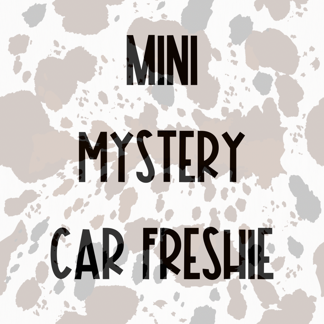 Mini Mystery Car Freshie