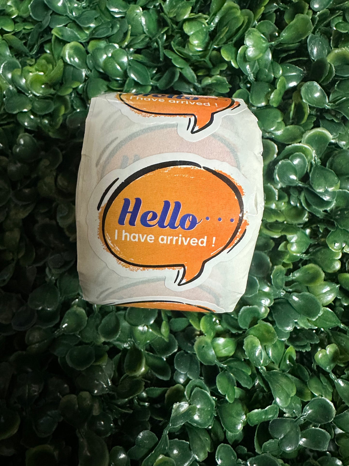 Hello I Have Arrived Stickers