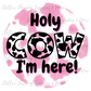 Holy Cow Stickers