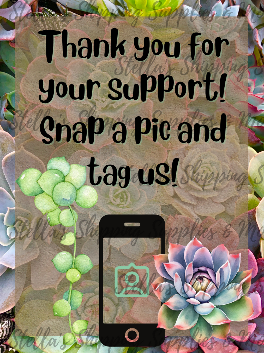 Succulent Snap A Pic Cards