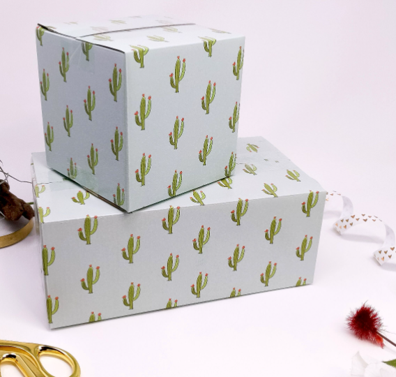 10x6x4 Cactus Box