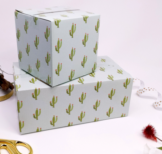10x6x4 Cactus Box