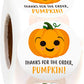 TY Pumpkin Stickers