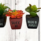 Faux Succulent - Funny Quote