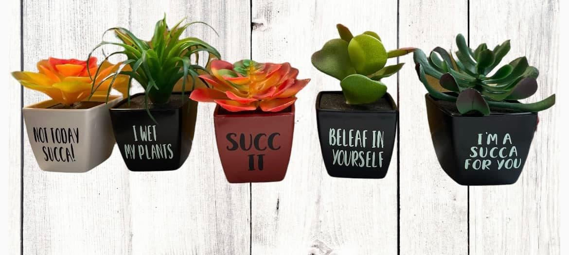 Faux Succulent - Funny Quote