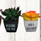 Faux Succulent - Funny Quote