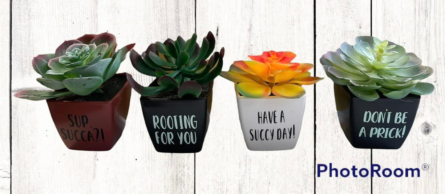 Faux Succulent - Funny Quote