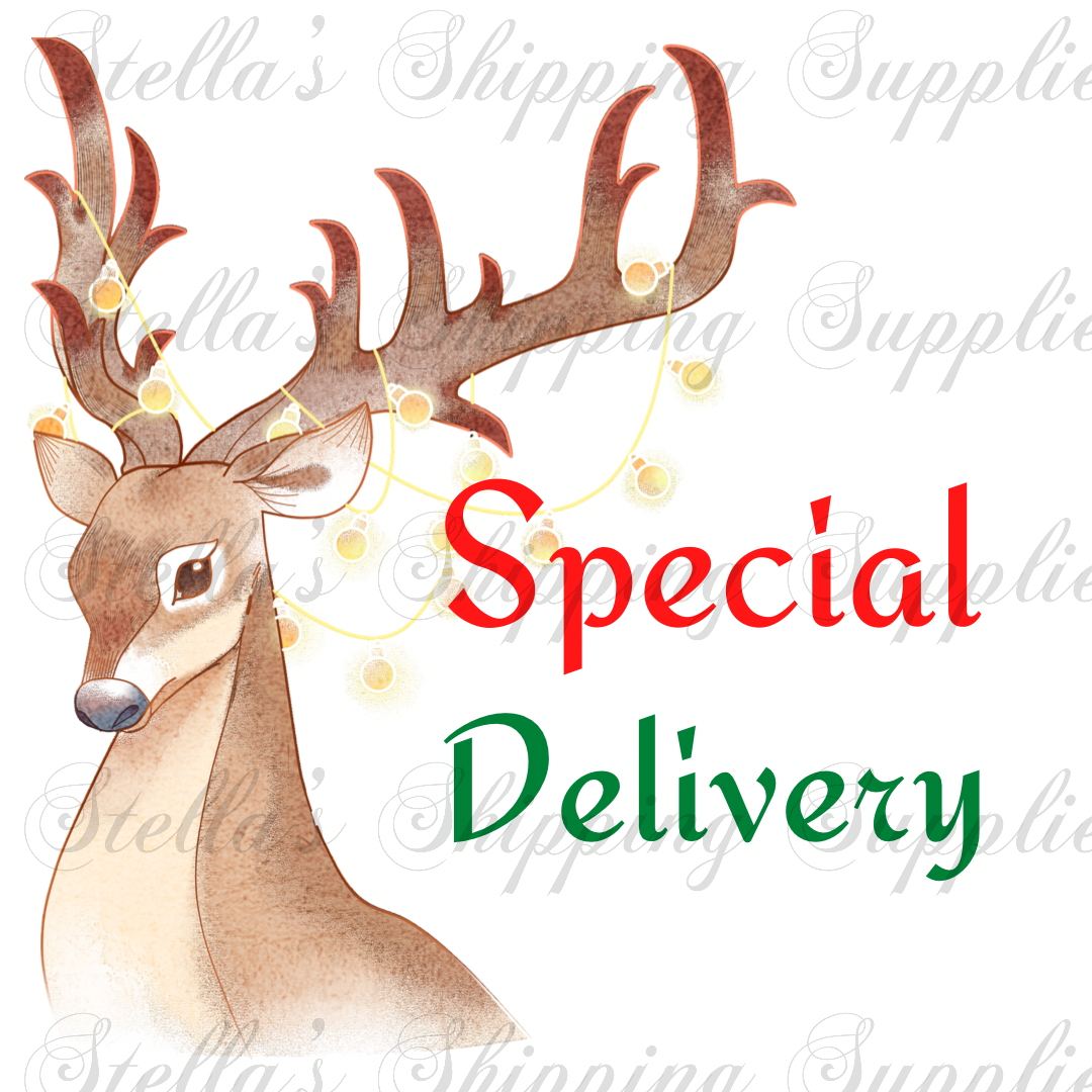 Special Delivery Digital/Sticker