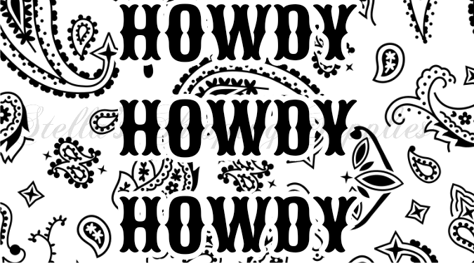 Howdy x3 Thermal Stickers
