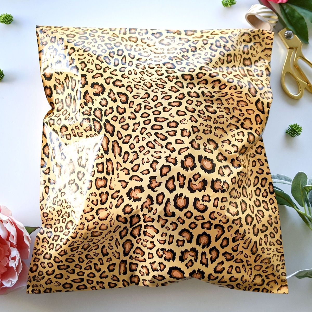 14x17 Leopard